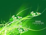 Introducing Second Imam (a.s)